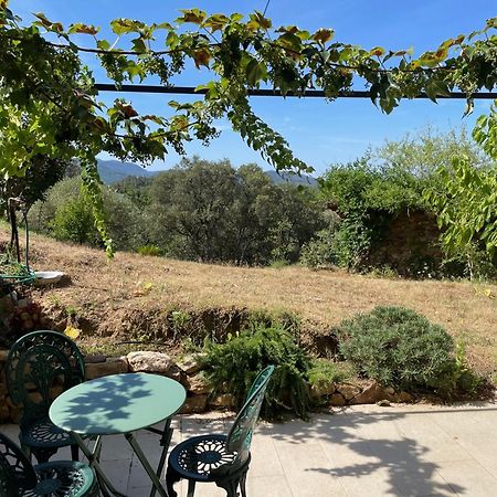 Cottage Les Marjoris Tanneron Екстериор снимка
